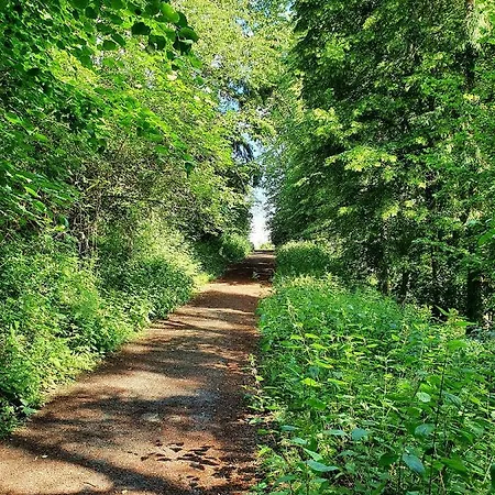 Quartier 311 Mit Pool Und Sauna