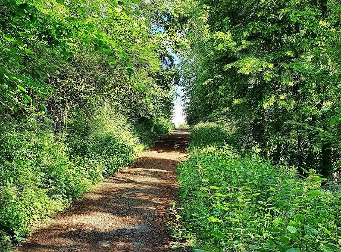 Quartier 311 Mit Pool