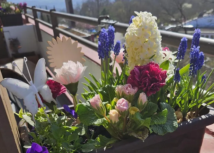 Quartier 311 Mit Pool